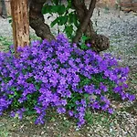 La Palazzina Villa
